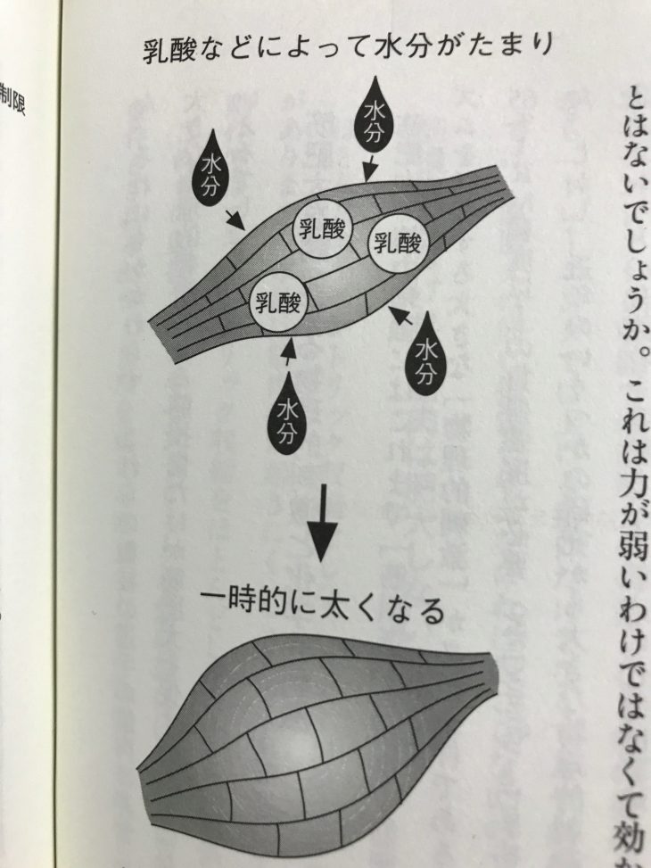 パンプアップ