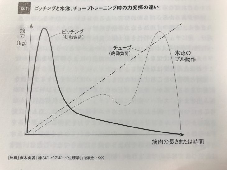 チューブトレーニング
