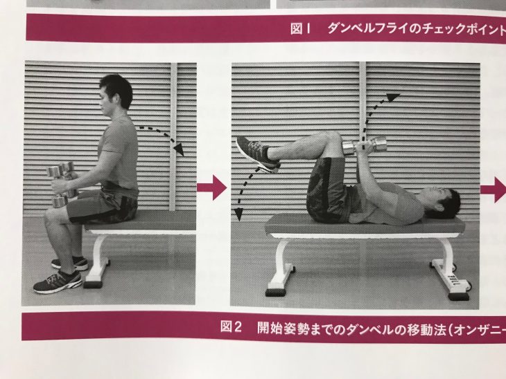 ダンベルオンザニー