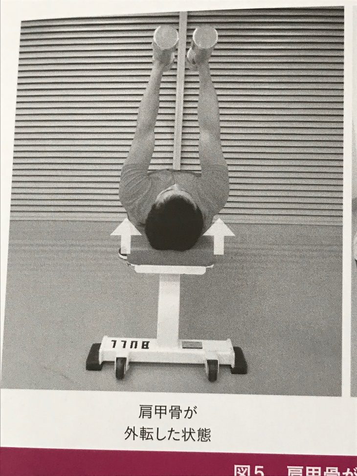 ダンベルフライ