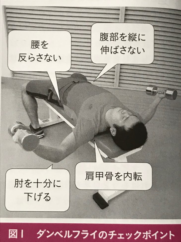 ダンベルフライ