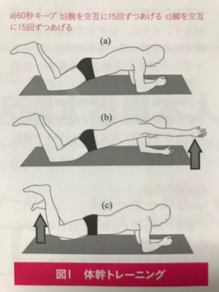体幹トレーニングがスポーツパフォーマンスに与える影響