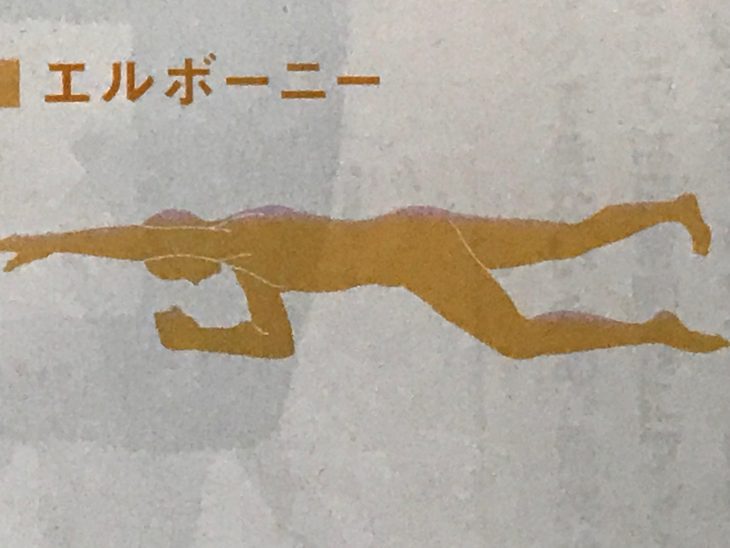 エルボーニー