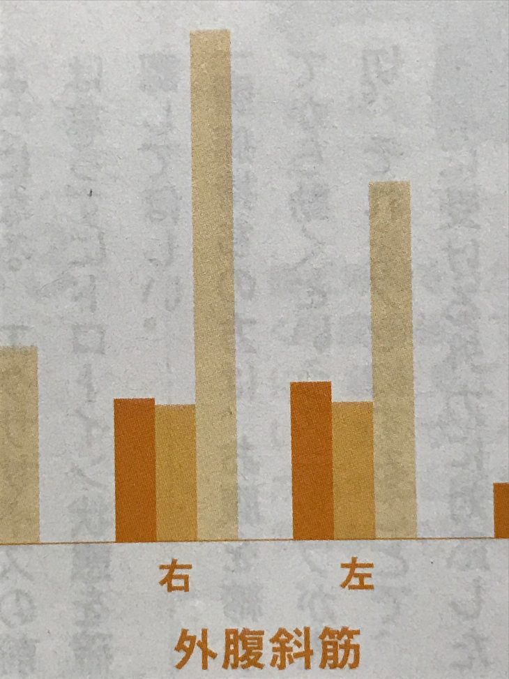 脇腹筋肉活動