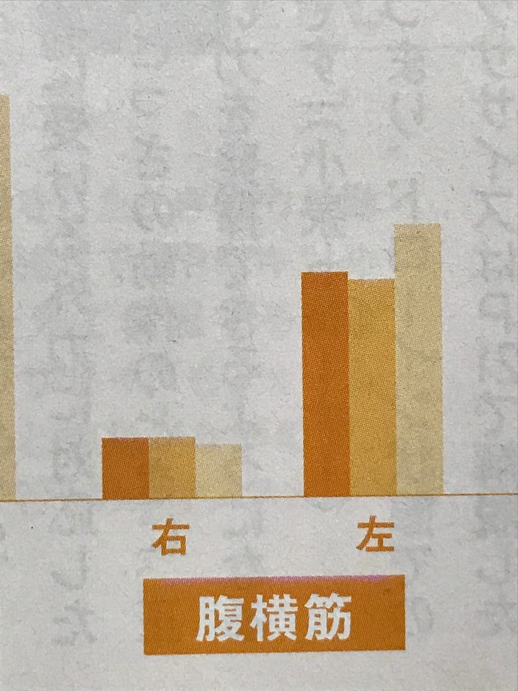 腹横筋活動