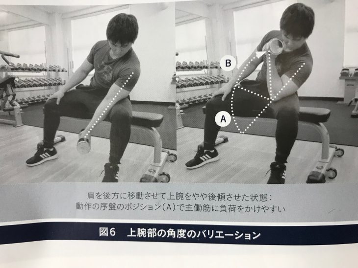 コンセントレーションカールバリエーション