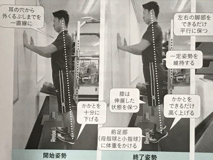 カーフレイズ